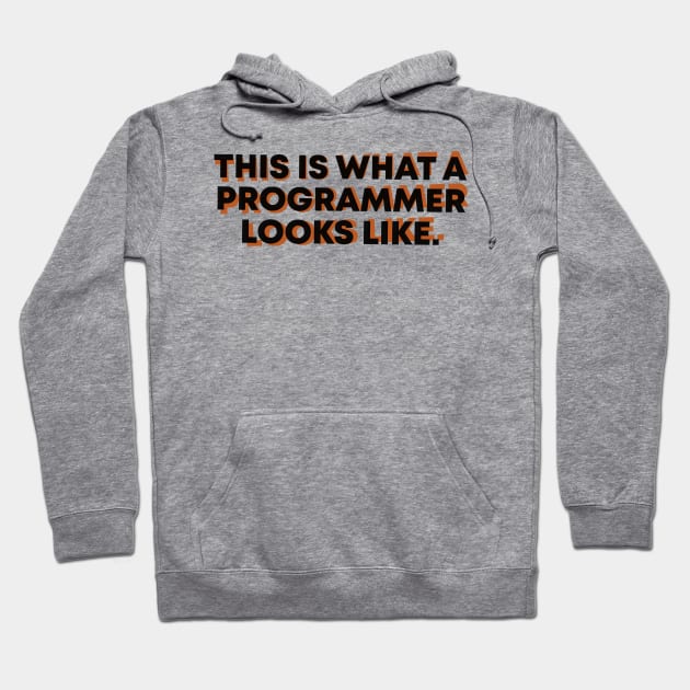 This Is What A Programmer Looks Like Hoodie by Issho Ni